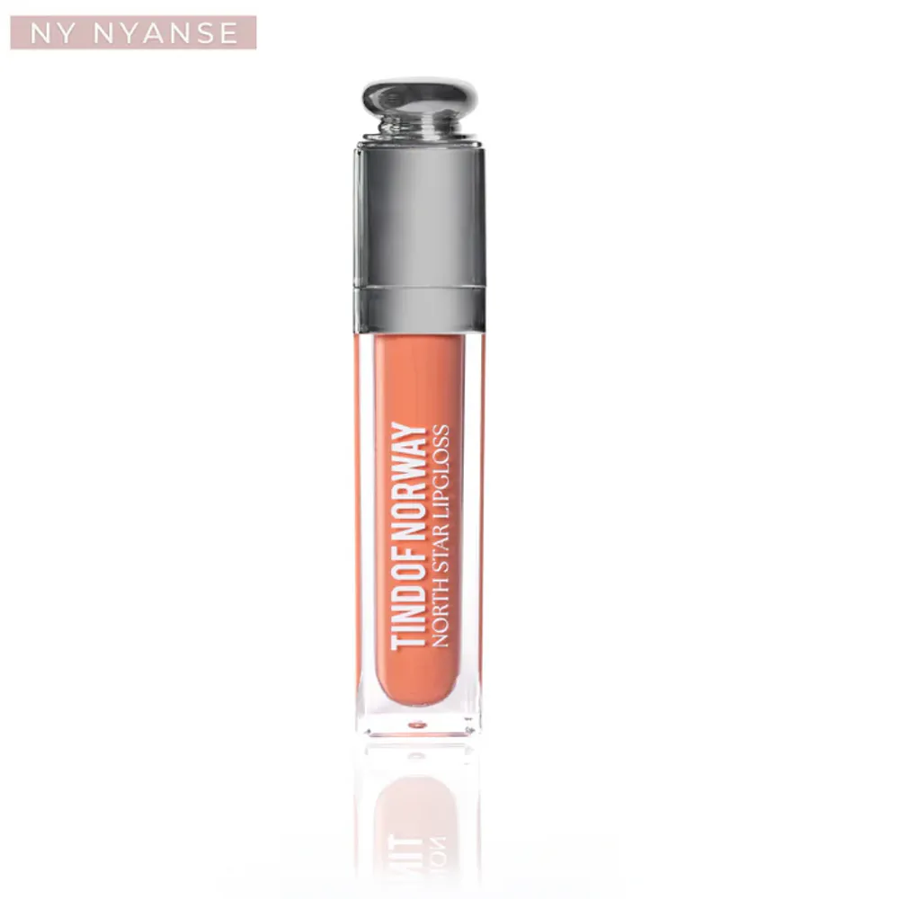 Nye North Star Lipgloss 